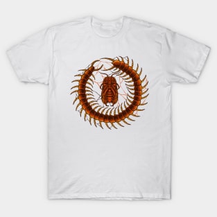 centipede cockroach T-Shirt